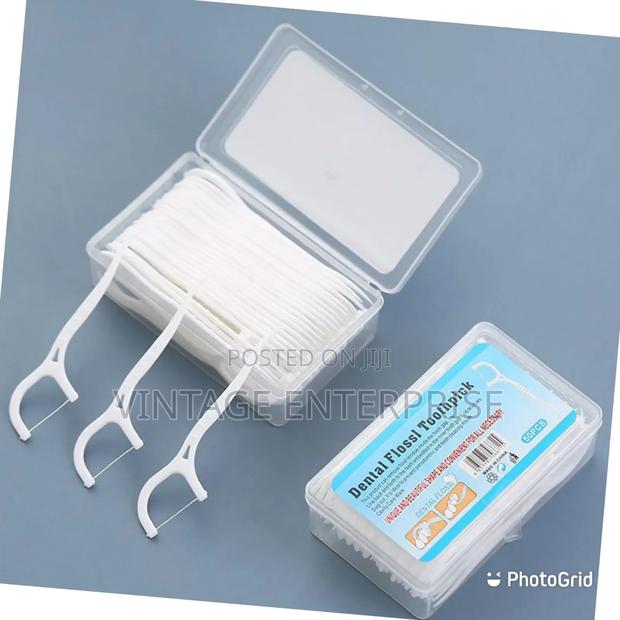 Dental Floss Toothpick - main view