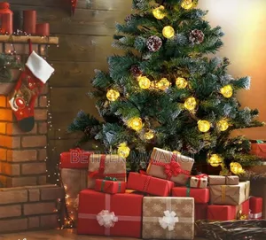 Indoor/Outdoor LED String Lights(9metres/30 Bulbs) in Kenya