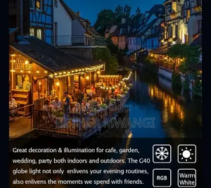 Indoor/Outdoor LED String Lights(9metres/30 Bulbs) in Kenya