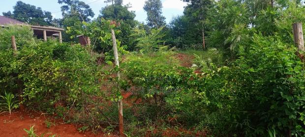 50x100 Sagana Plot - thumbnail 3