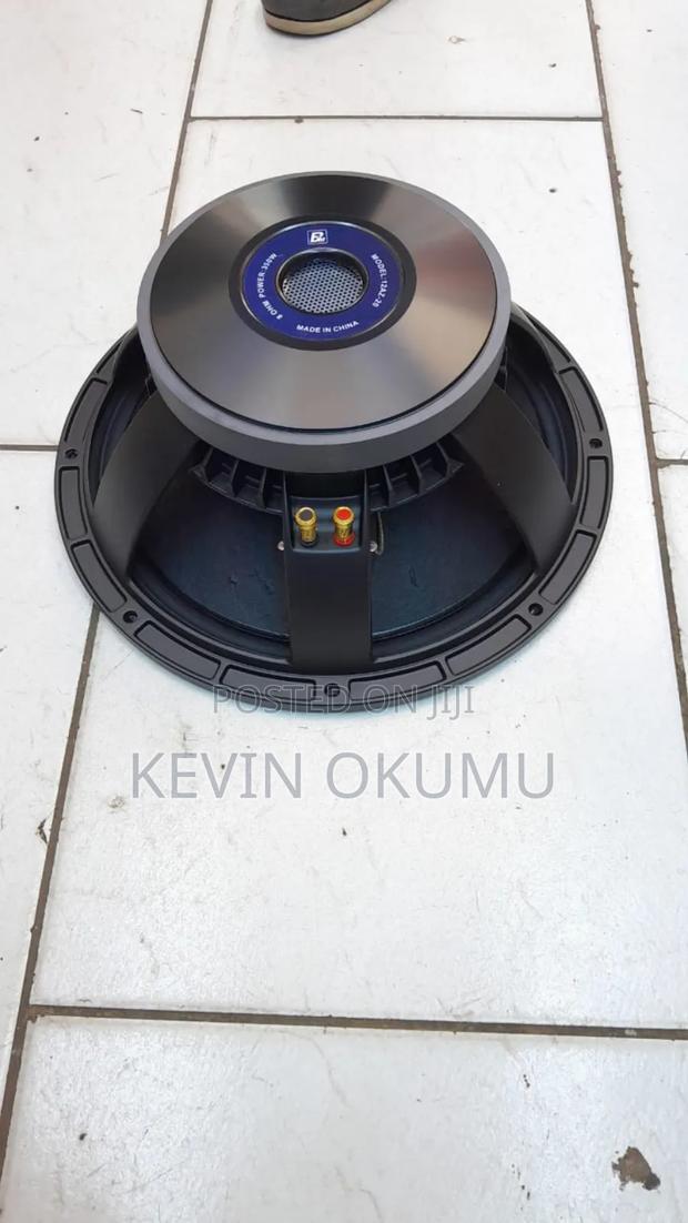 Bm 12" Mid Range Speaker