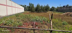 Commercial 1⁄2 Acre For Sale Pioneer Eldoret City