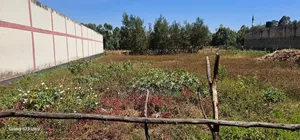 Commercial 1⁄2 Acre For Sale Pioneer Eldoret City