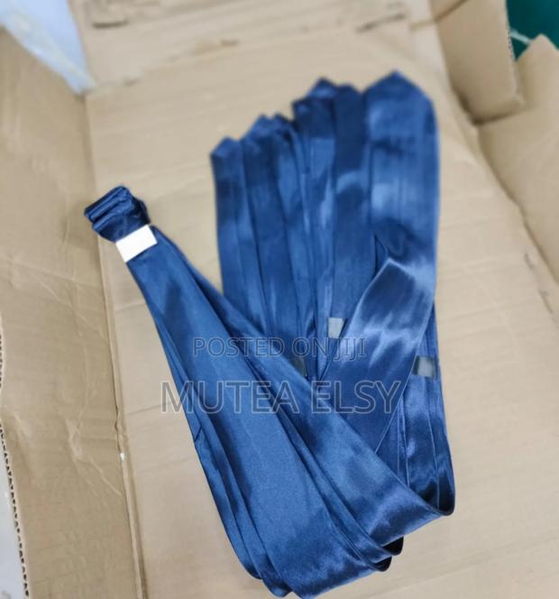 Parliament Blue, Navyblue Purple Satin Official Ties