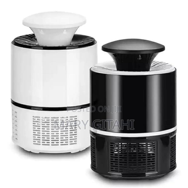 at Mosquito Killer Lamp*