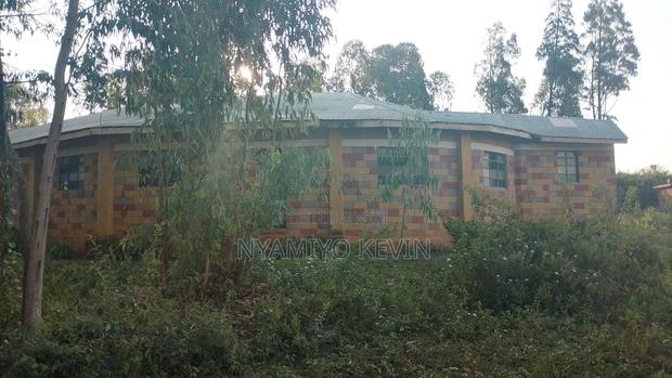 Ajigo Farm - thumbnail 4