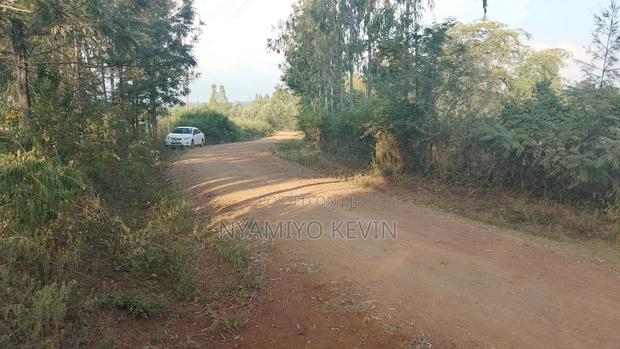 Ajigo Farm - thumbnail 5