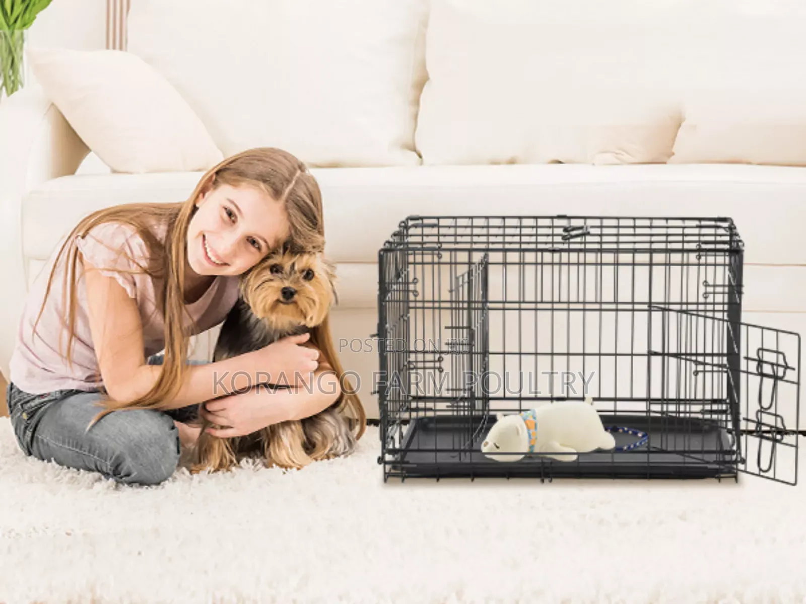 Rabbit Cats Crates