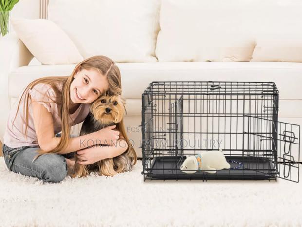 Rabbit Cats Crates - main view