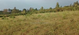 Behind Bondo Ardhi House - thumbnail 2