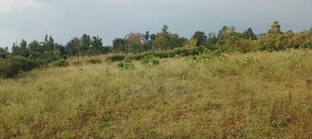 Behind Bondo Ardhi House - thumbnail 3