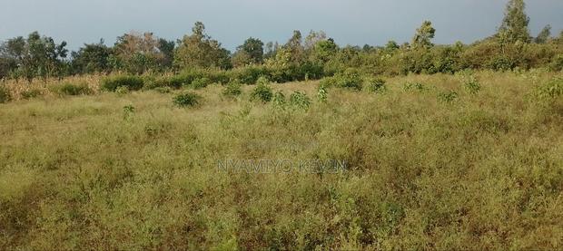 Behind Bondo Ardhi House - thumbnail 4