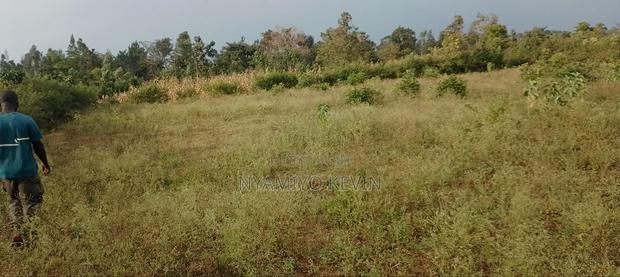 Behind Bondo Ardhi House - thumbnail 5