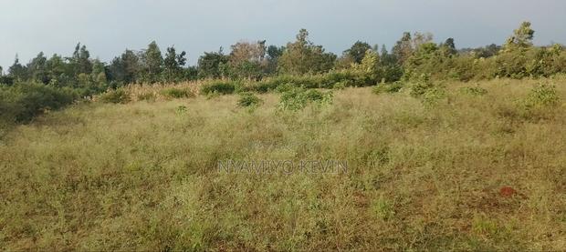 Behind Bondo Ardhi House - thumbnail 6