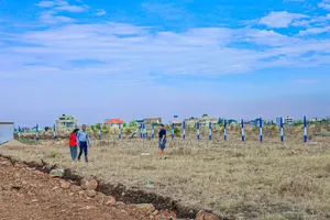 Cheap Plots in Silicon Valley Kamakis ^Ma
