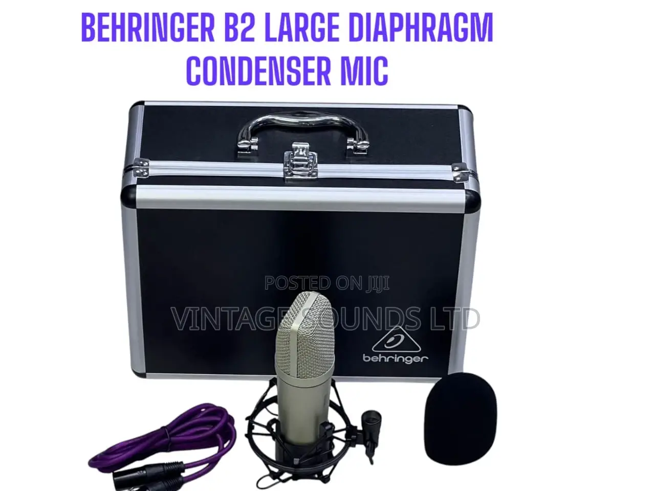 Behringer B-2 Pro Dual-Diaphragm Condenser Microphone