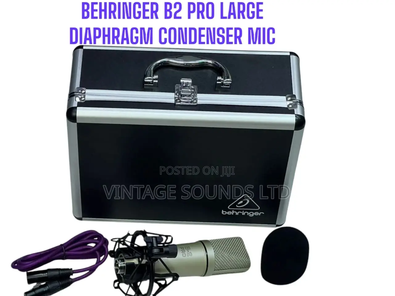 Behringer B2 Pro Dual-Diaphragm Condenser Studio Microphone