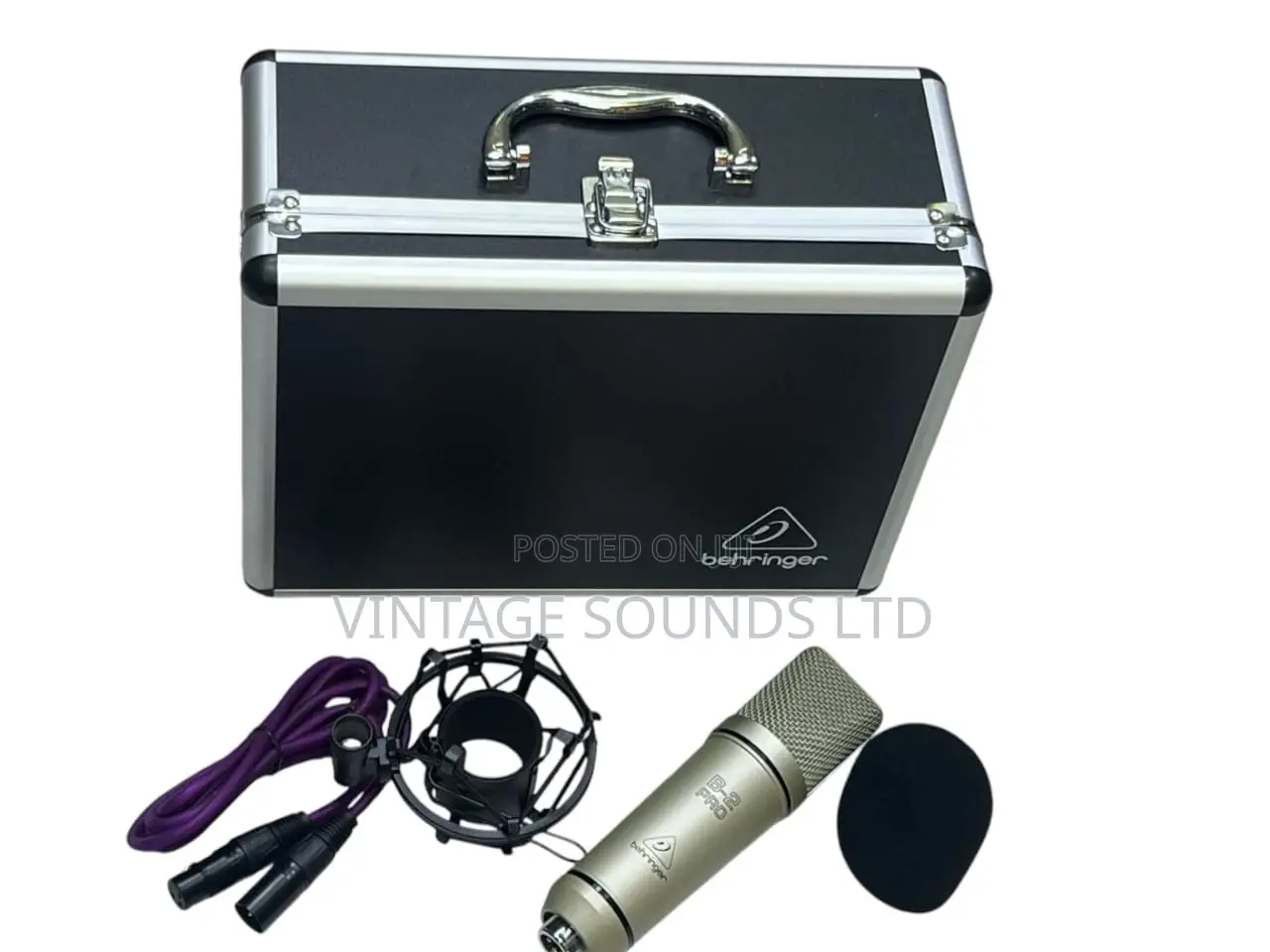 Behringer B2 Pro Dual-Diaphragm Condenser Studio Microphone