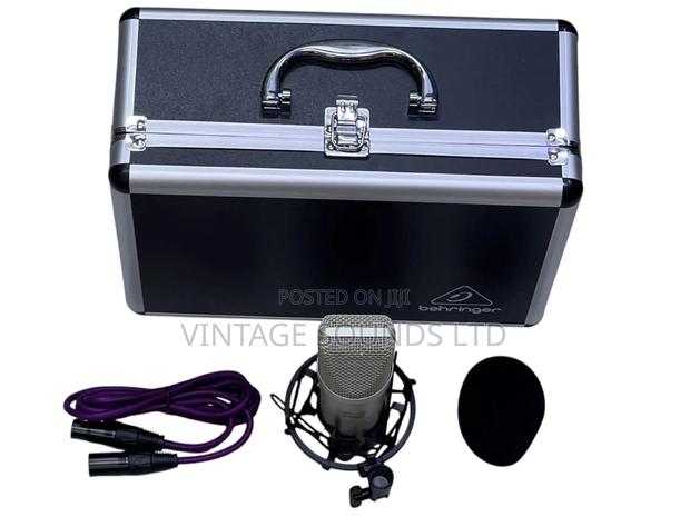 Behringer B2 Pro Condenser Microphone (GRAYISH) - thumbnail 2