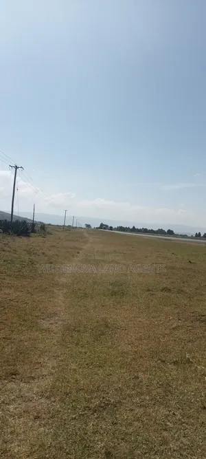 Land on Sale at Longonot Naivasha