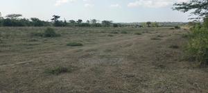 Dier Aora Bondo Farm - thumbnail 2