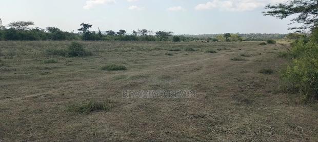 Dier Aora Bondo Farm - main view
