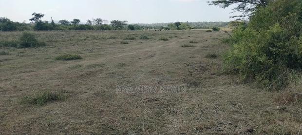 Dier Aora Bondo Farm - thumbnail 4