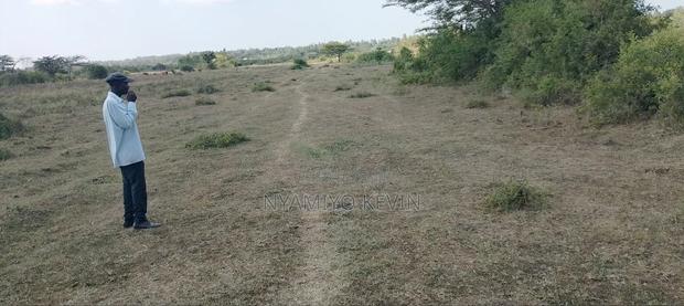 Dier Aora Bondo Farm - thumbnail 5