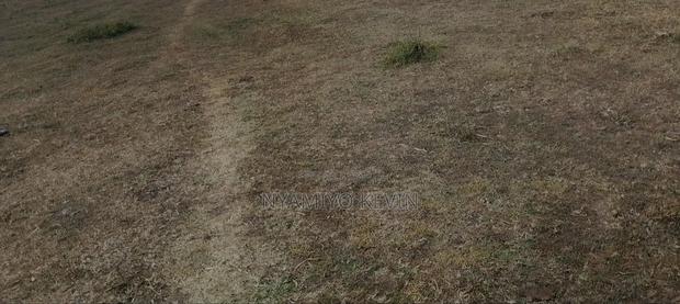 Dier Aora Bondo Farm - thumbnail 6