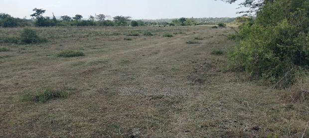 Dier Aora Bondo Farm - thumbnail 7