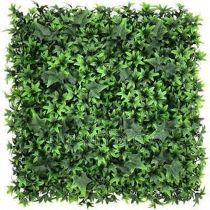 Non-Fade Wallflower - thumbnail 2