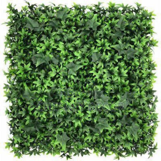 Non-Fade Wallflower - main view