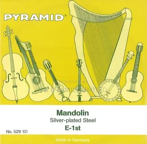 Mandolin Strings