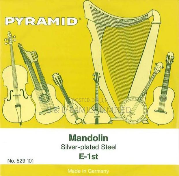 Mandolin Strings - main view