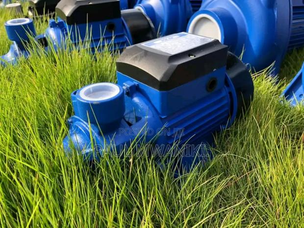 Surface Water Pump QB 70 - main view