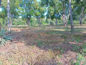 Residential Land for Sell