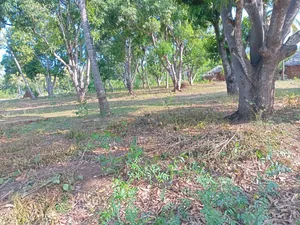 Residential Land for Sell