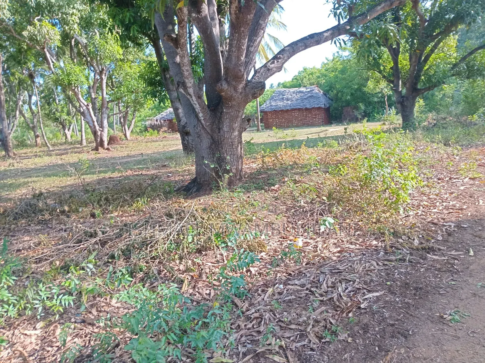Residential Land for Sell