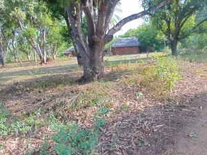 Residential Land for Sell