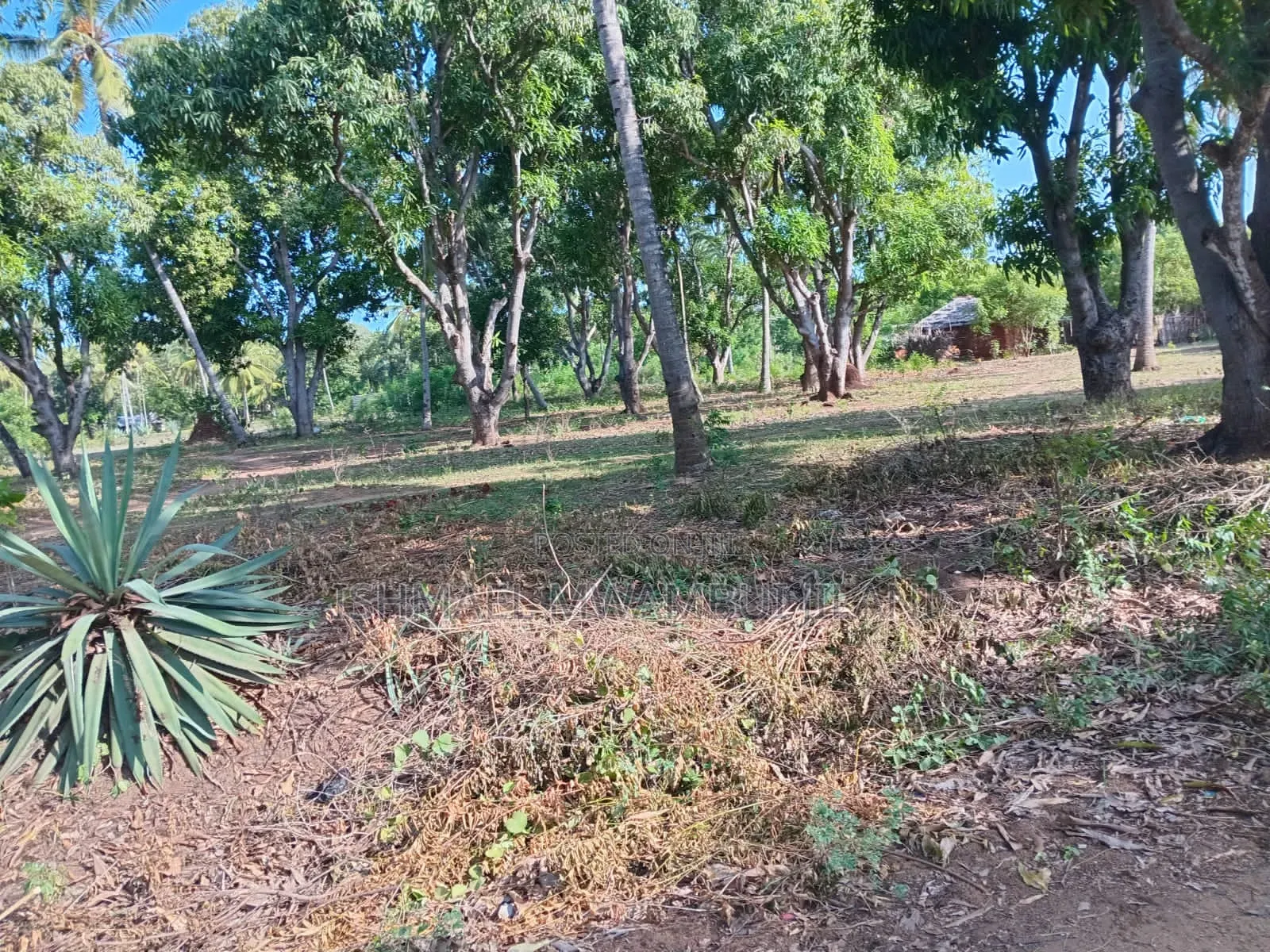 Residential Land for Sell