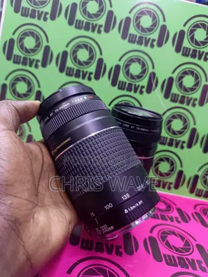 Canon 75-300 Zoom Lens for Bokeh and Zoom