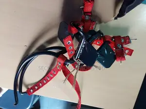 Wooden Climbers