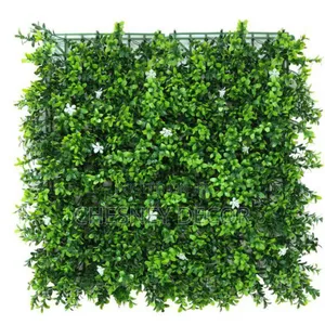 Uv-Protected Wallflower