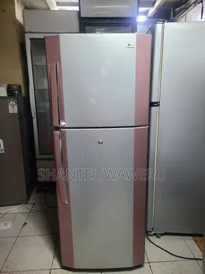 Neat Lg Double Door Fridge Frost Free