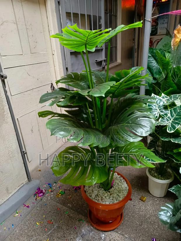 Artificial Monstera Plant(Comes With Pebbles+ Bucket)