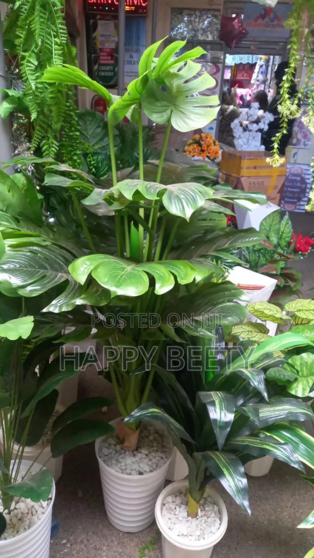Artificial Monstera Plant(Comes With Pebbles+ Bucket) - thumbnail 2