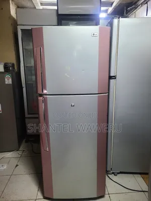 Neat Lg Double Door Fridge Frost Free