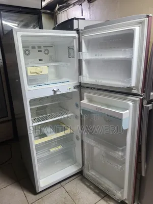 Neat Lg Double Door Fridge Frost Free