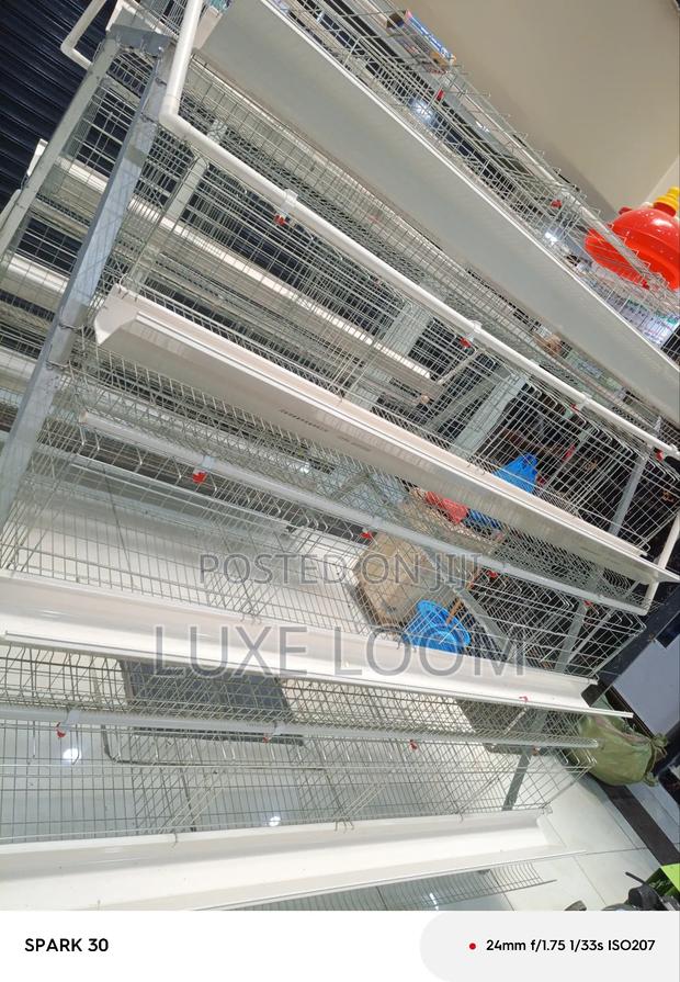 Chicken Cages - main view