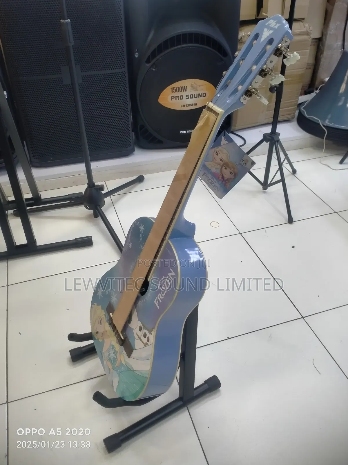 Frozen Baby Guitar